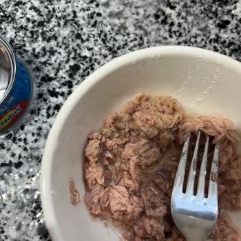 Superfresh Ton Balığında Küf Şoku