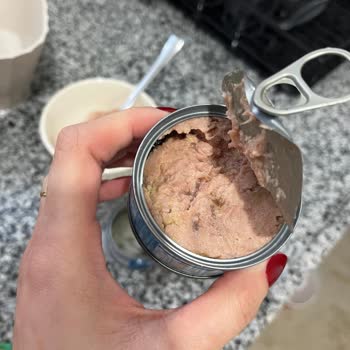 Superfresh Ton Balığında Küf Şoku