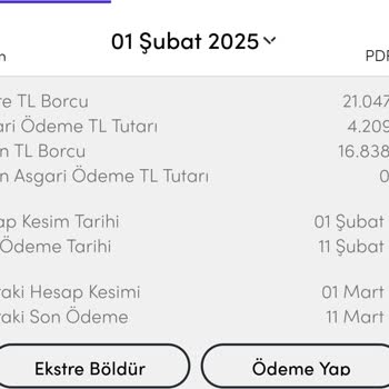 Ekstre Taksitlendirme Talebinde Hatalı İşlem