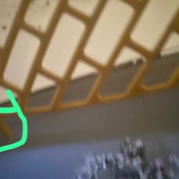 Wero Akıllı Tuvalet: Kedinizin Sağlığına Tehdit