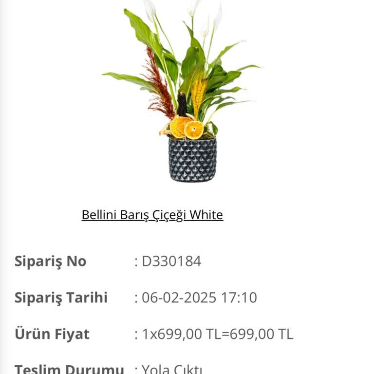Siparişim Nerede? İletişim Kurulamıyor