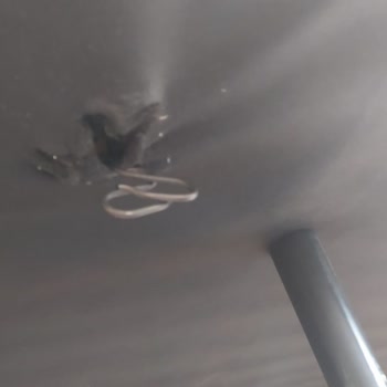 Enza Kanepe Tel Problemi: Garanti Süresi Sonrası Yaşanan Sorun