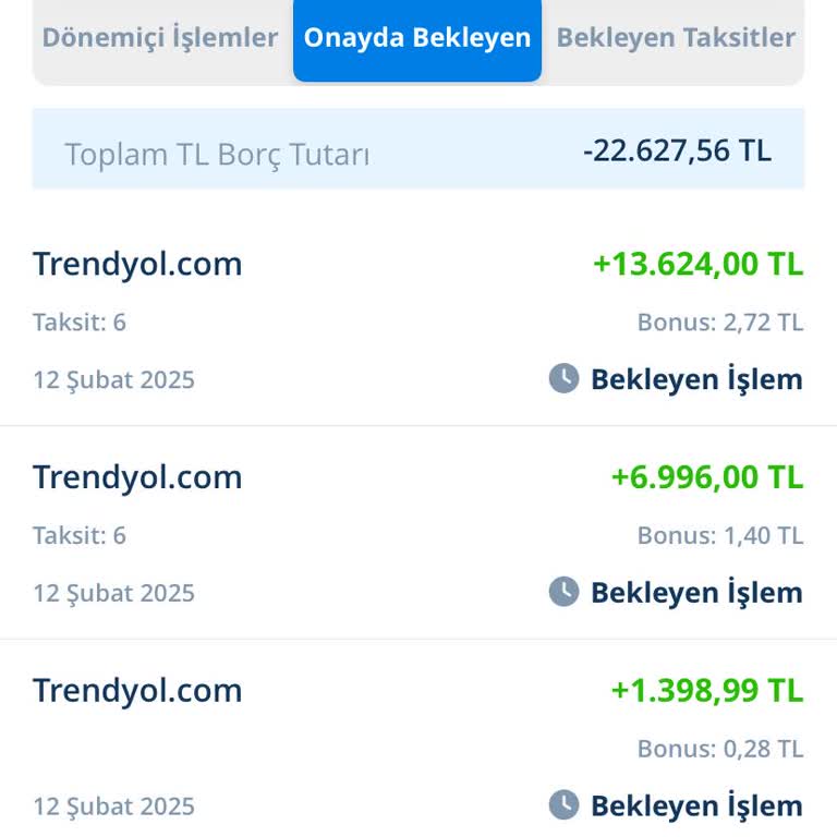 Denizbank'ta İade Bekleme Çilesi