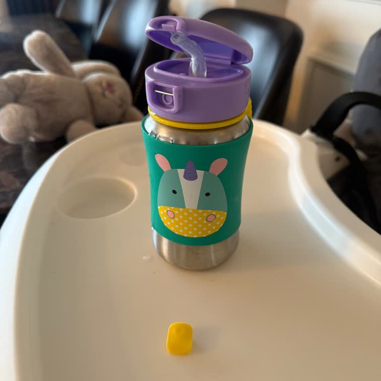 Skip Hop Stainless Steel Little Kid Straw Bottle Lock Broke Down, No Spare Parts