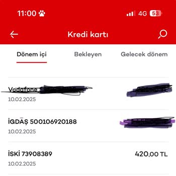 Çift Ödeme Sorunu: İSKİ Fatura İadesi İçin Yardım Talebi