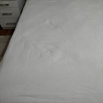 Bambi Yatak: Çöken Yatak Ve Müşteri Hizmetleri Hayal Kırıklığı