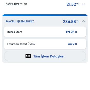 Yanlış Faturalandırma: Kullanılmayan Uygulama Ücreti