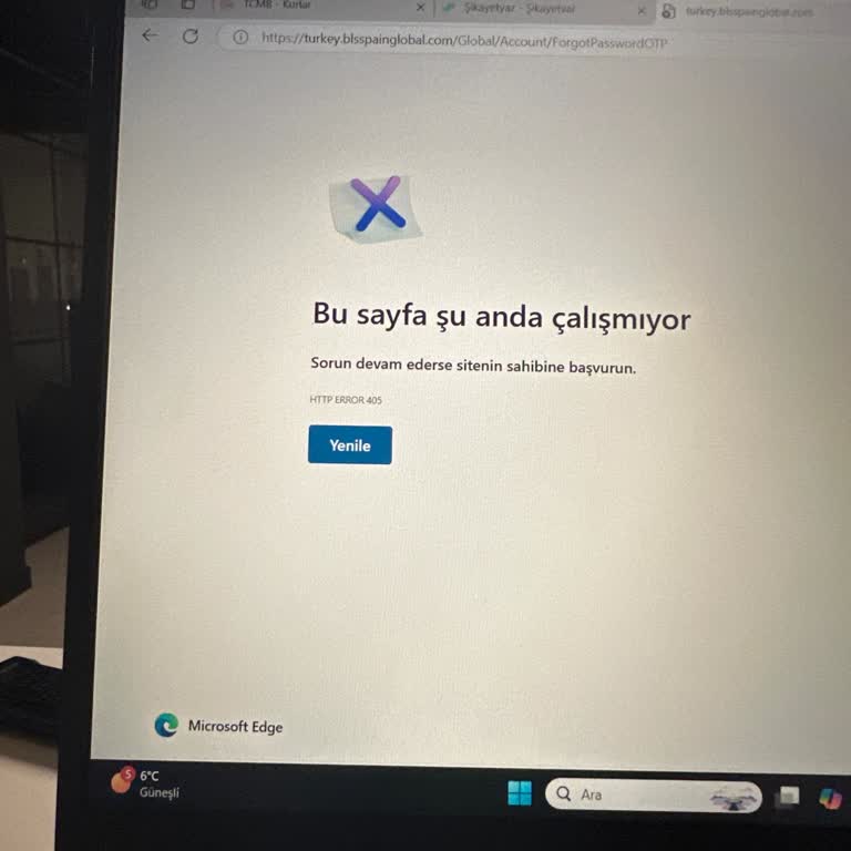 Bls International Sayfası Hata Veriyor!