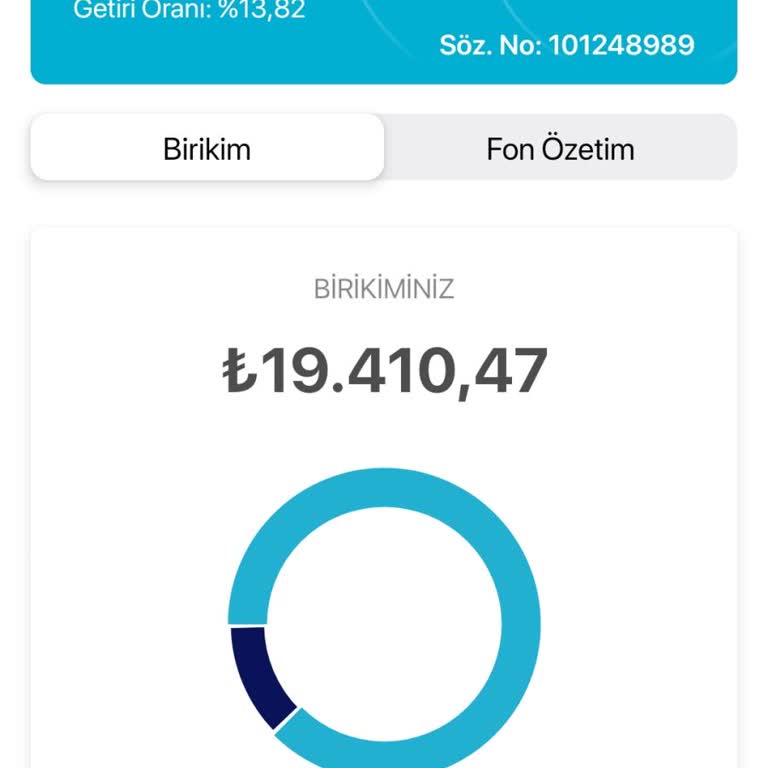 Türkiye Hayat Emeklilik'te Geri Dönüş Sorunu