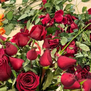 Çiçek Siparişimde Büyük Hayal Kırıklığı