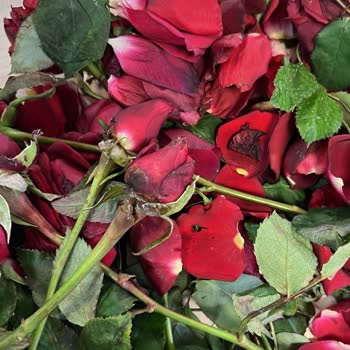 Çiçek Siparişimde Büyük Hayal Kırıklığı