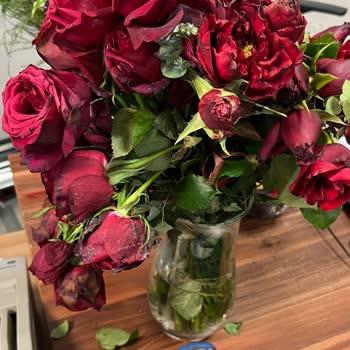 Çiçek Siparişimde Büyük Hayal Kırıklığı