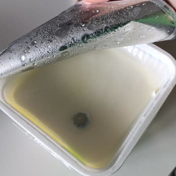 Getir Siparişimde Küflü Peynir Sorunu