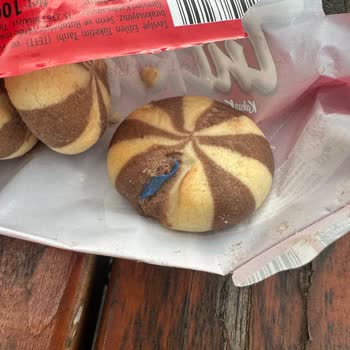 Bisküvide Plastik Parçası Şoku