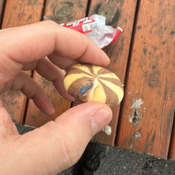 Bisküvide Plastik Parçası Şoku