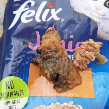 Felix Junior Mama İçinden Çıkan Belirsiz Parçalar