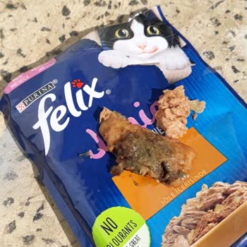 Felix Junior Mama İçinden Çıkan Belirsiz Parçalar