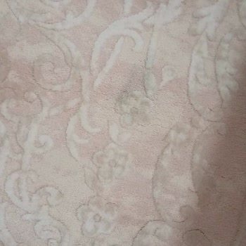 Halı Yıkamada Hayal Kırıklığı: Lekeler Ve Tüyler Hala Yerinde!