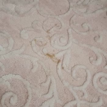 Halı Yıkamada Hayal Kırıklığı: Lekeler Ve Tüyler Hala Yerinde!