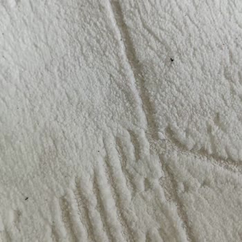 Halı Yıkamada Hayal Kırıklığı: Lekeler Ve Tüyler Hala Yerinde!