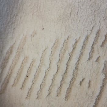 Halı Yıkamada Hayal Kırıklığı: Lekeler Ve Tüyler Hala Yerinde!