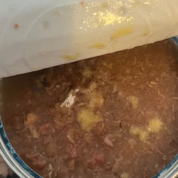 Petsepetimde.com Geciken Kargo Ve Son Kullanma Tarihi Geçmiş Ürün Sorunu