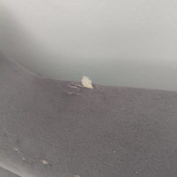 Capilon Mobilya'nın Kalitesiz Ürünleri Hayal Kırıklığı Yarattı