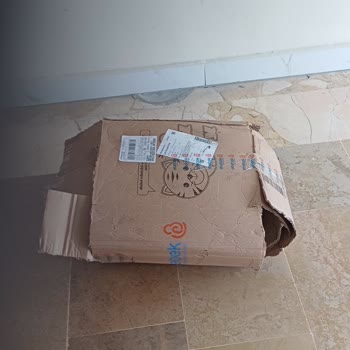 Sürat Kargo'nun Sorumsuz Teslimatı Ve Müşteri Hizmetleri Sorunu