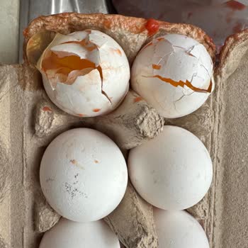 Trendyol Hızlı Market Kırık Ürün Fiyaskosu!