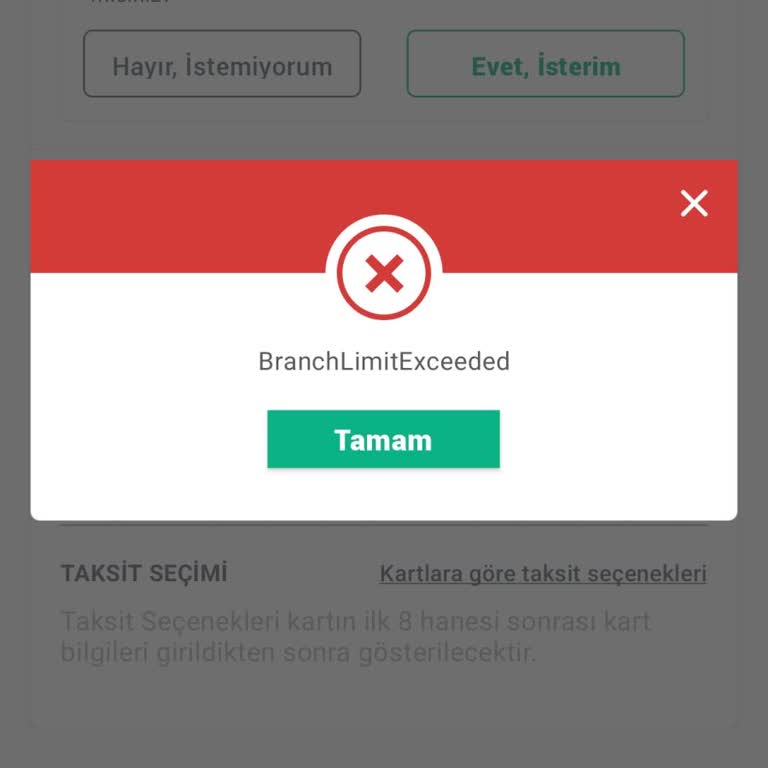 Uçak Bileti Alımında Sistem Hatası