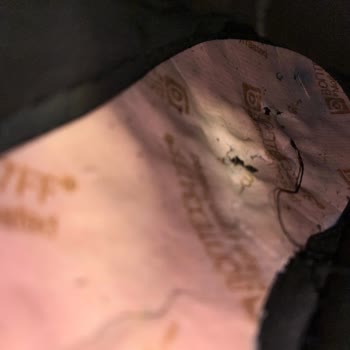 Kalitesiz Ayakkabı Ve Yetersiz Müşteri Hizmeti Deneyimi