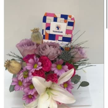 Yanıltıcı Görseller Ve İletişim Sorunları