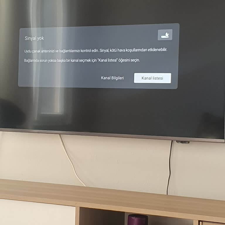 Philips TV'de Sürekli Uydu Ve Netflix Sorunları