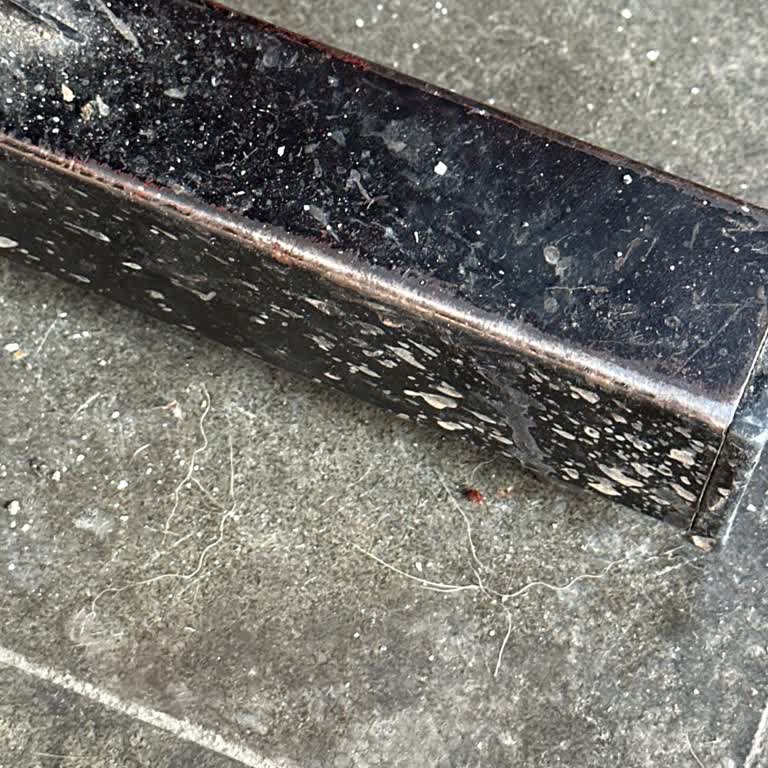 Kedi Tüyleriyle Kaplı Kirli Ortam