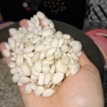 Kusurlu Ürün Ve İade Sorunu: A101'in Müşteri Memnuniyetsizliği