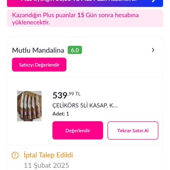 İptal Edilemeyen Sipariş Sorunu
