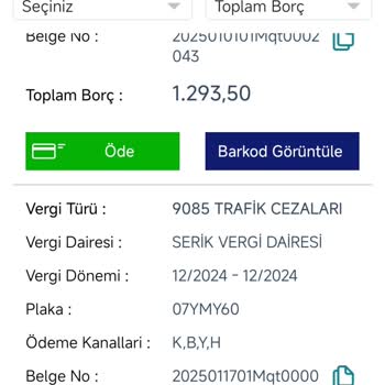 Erken Ödenen Trafik Cezasında Faiz Şoku