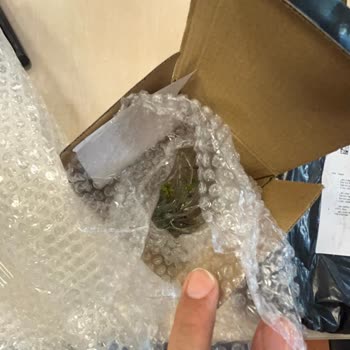 Kupa Dünyam Kırık Bardaklar ve İletişim Sorunları