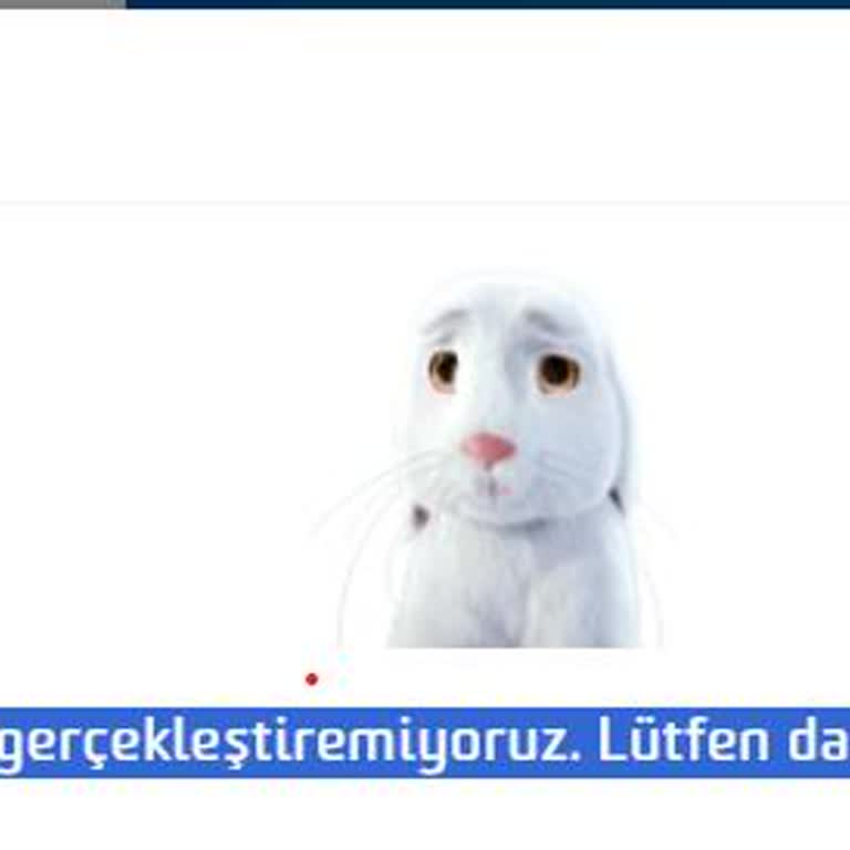 Fibabanka Online Bankacılık Giriş Sorunu