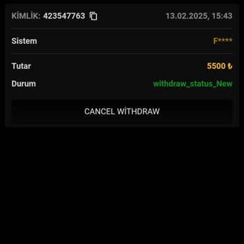 Yatırım Danışmanlığına Dikkat