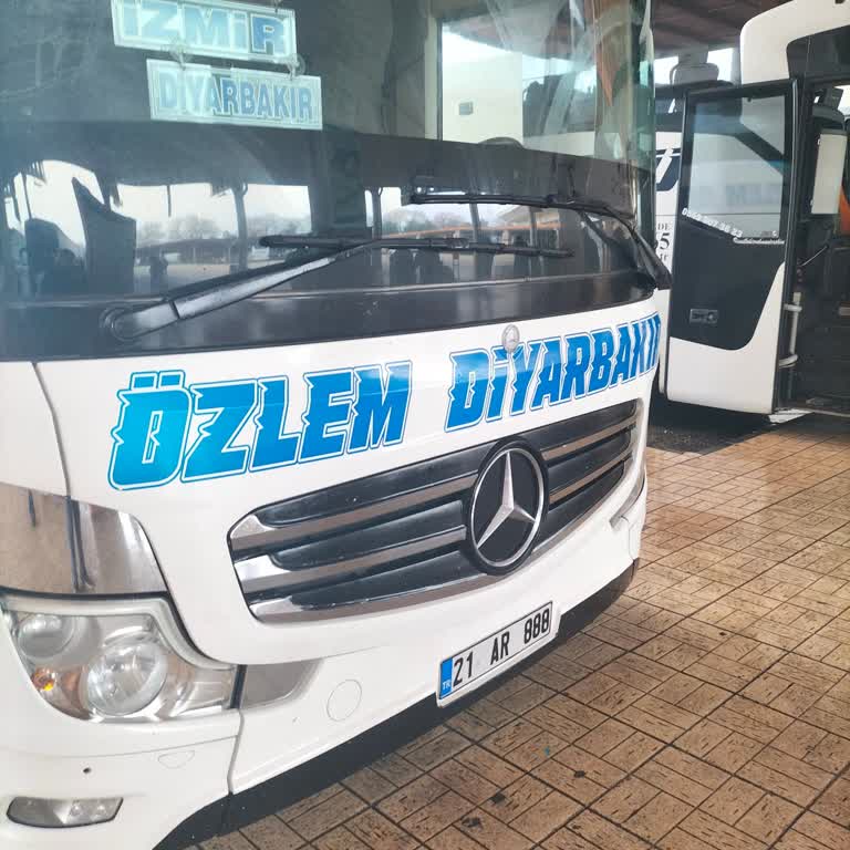 Kayıp Zeytinyağı Ve İletişim Sorunları