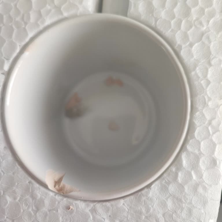 Çiçek Sepetinden Gelen Kırık Kupa Hayal Kırıklığı