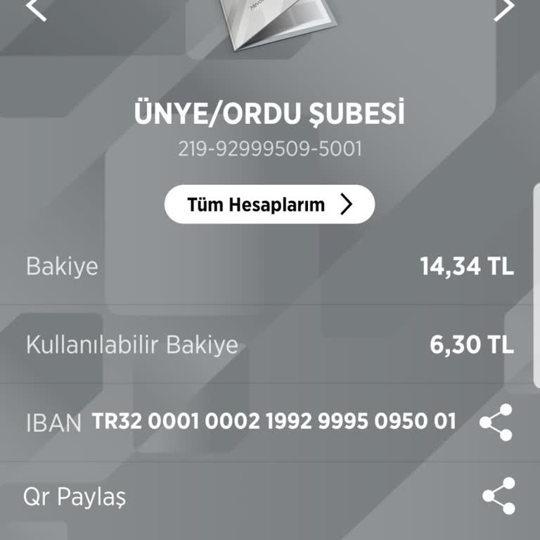 Ziraat Bankası Ekran Görüntüsü Sorunu