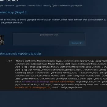 Steam Envanterim Güvenlik Açığı Yüzünden Çalındı