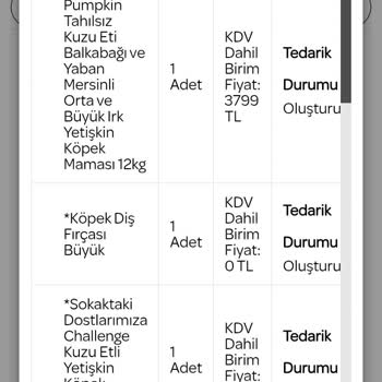 Köpek Maması Kusma Sorunu