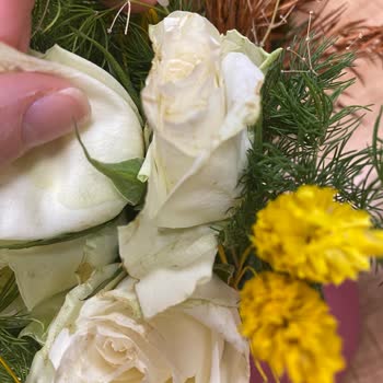 Solmuş Güller Ve Yetersiz Müşteri Hizmeti