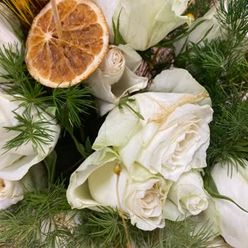 Solmuş Güller Ve Yetersiz Müşteri Hizmeti