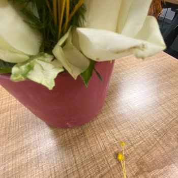 Solmuş Güller Ve Yetersiz Müşteri Hizmeti