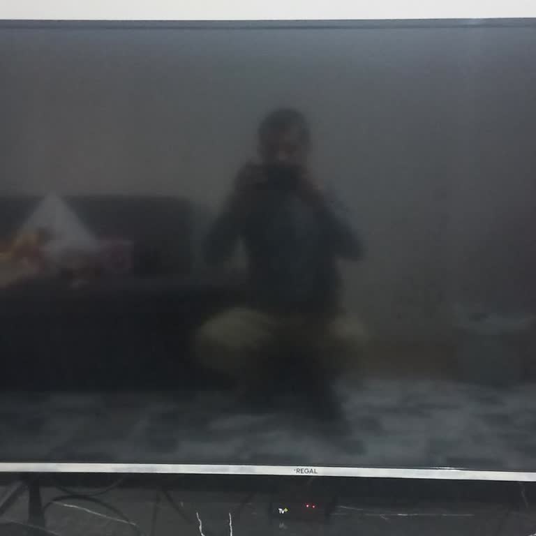 Regal Ürünleri Sürekli Arızalanıyor