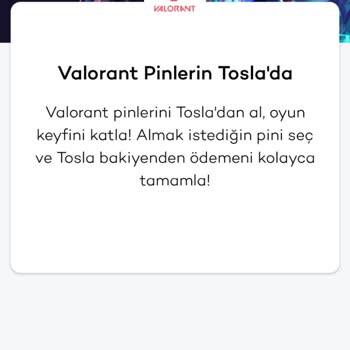 Tosla'da E-Devlet Engeli: Genç Kullanıcılar İçin Ödeme Sorunu
